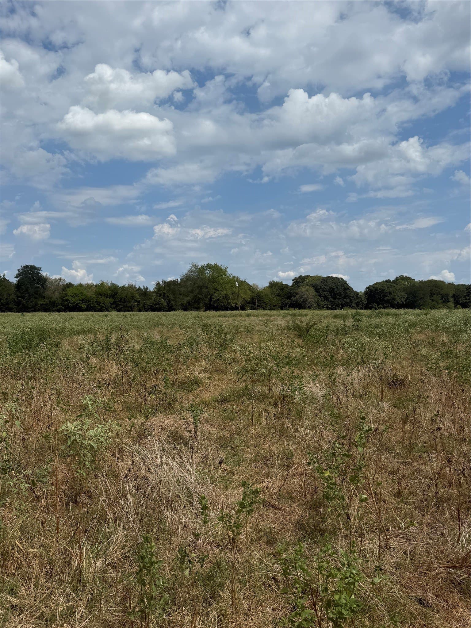 20 acres in Van Zandt County - photo 4