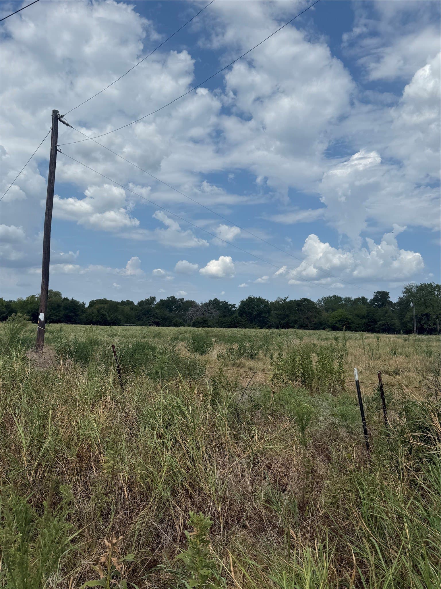 20 acres in Van Zandt County - photo 3