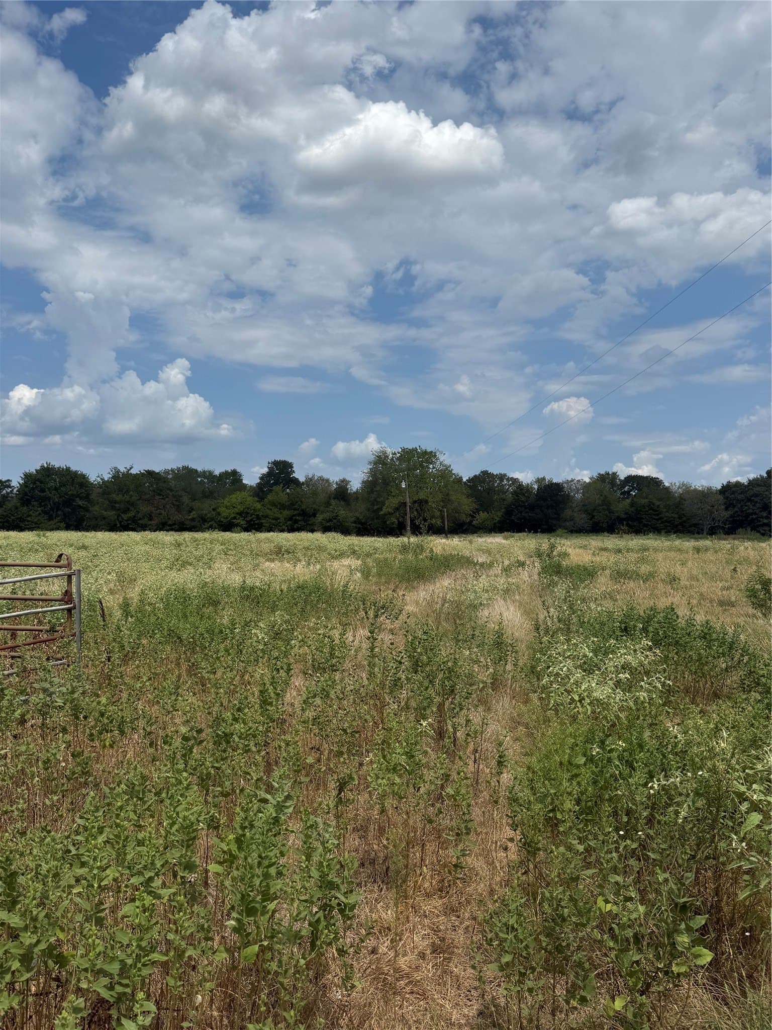 20 acres in Van Zandt County - photo 5