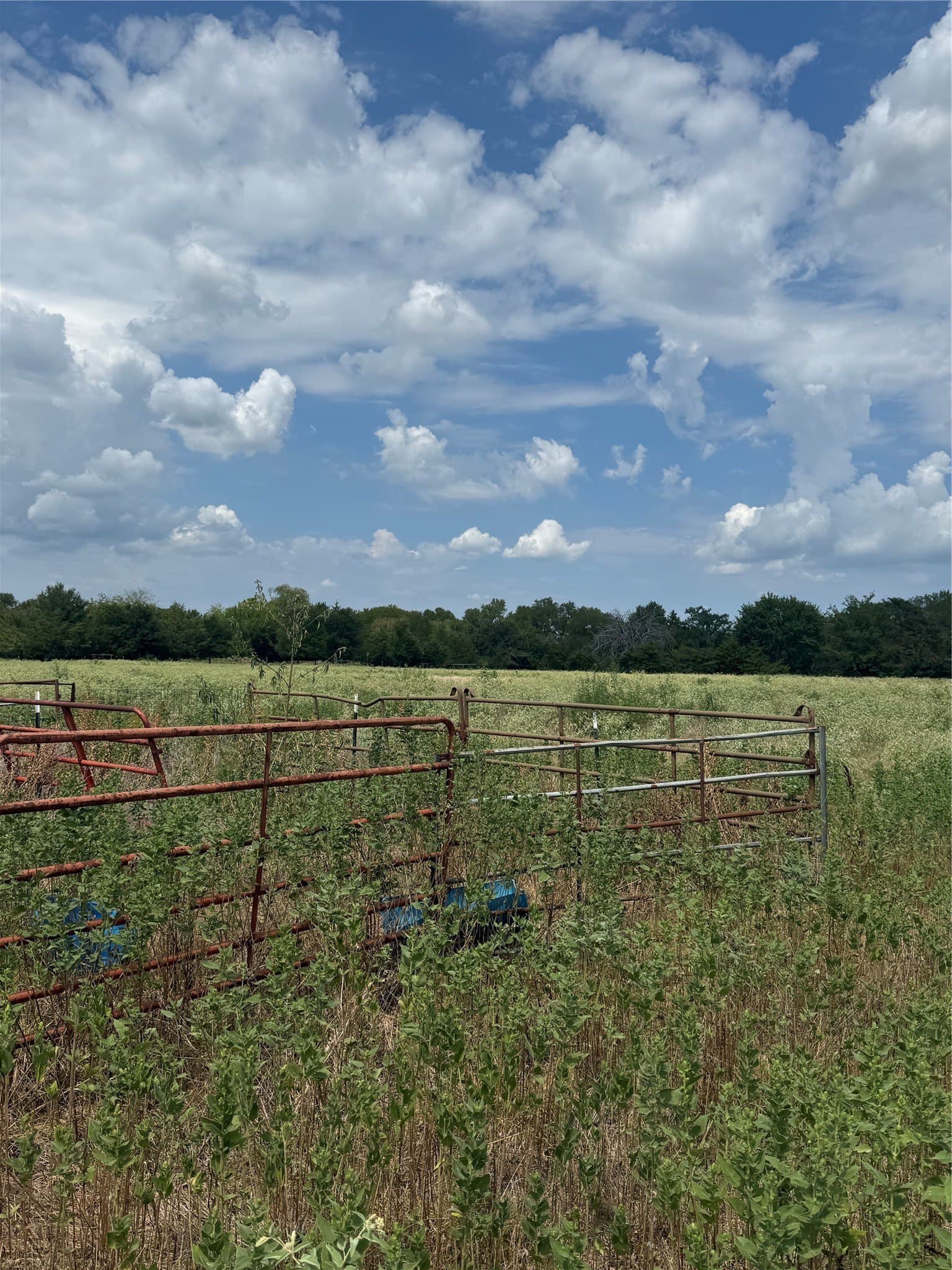 20 acres in Van Zandt County - photo 6