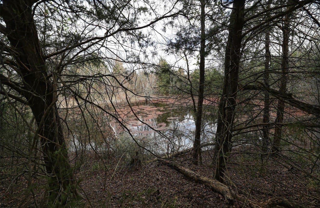 20 acres in Van Zandt County - photo 2