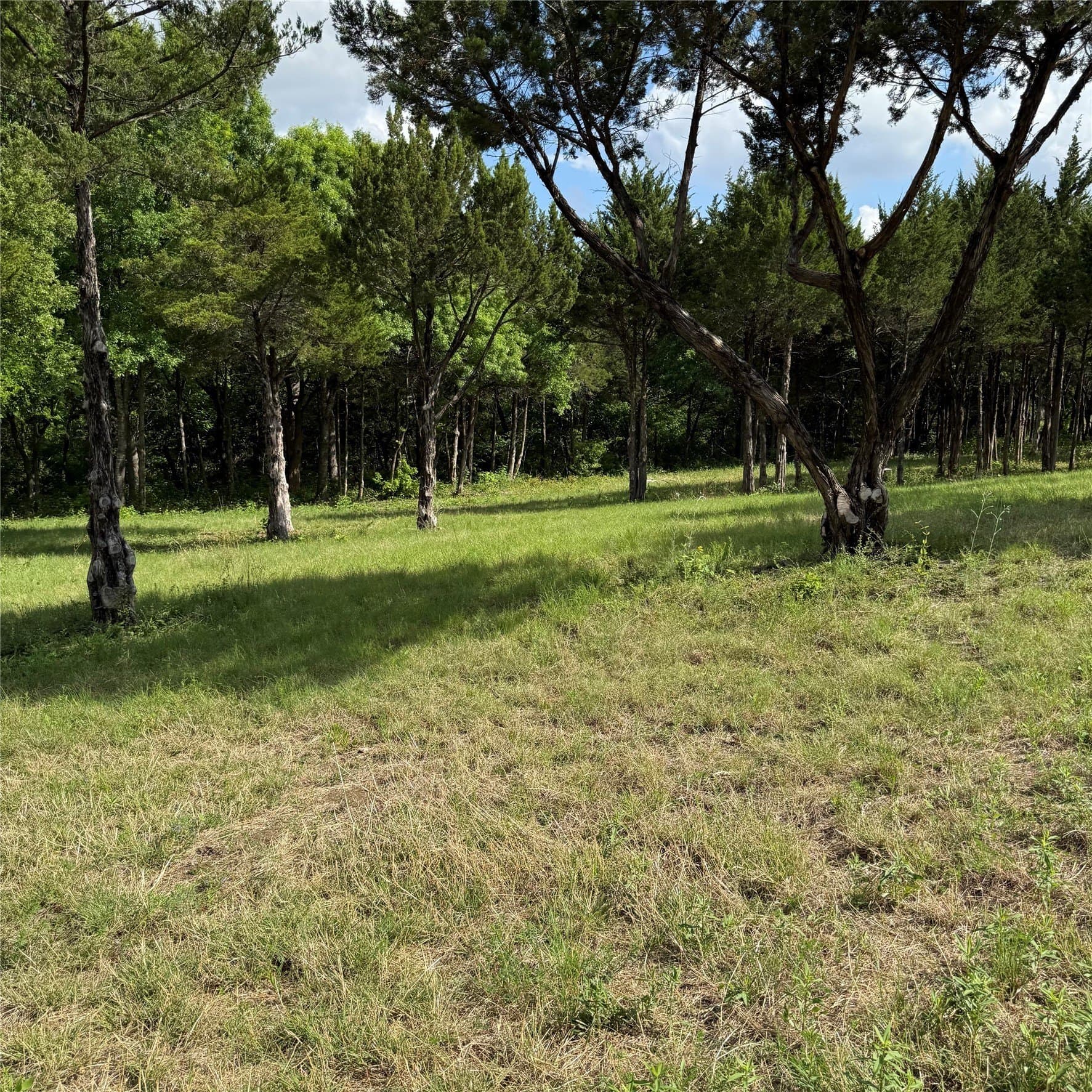 23.24 acres in Dallas County - photo 16