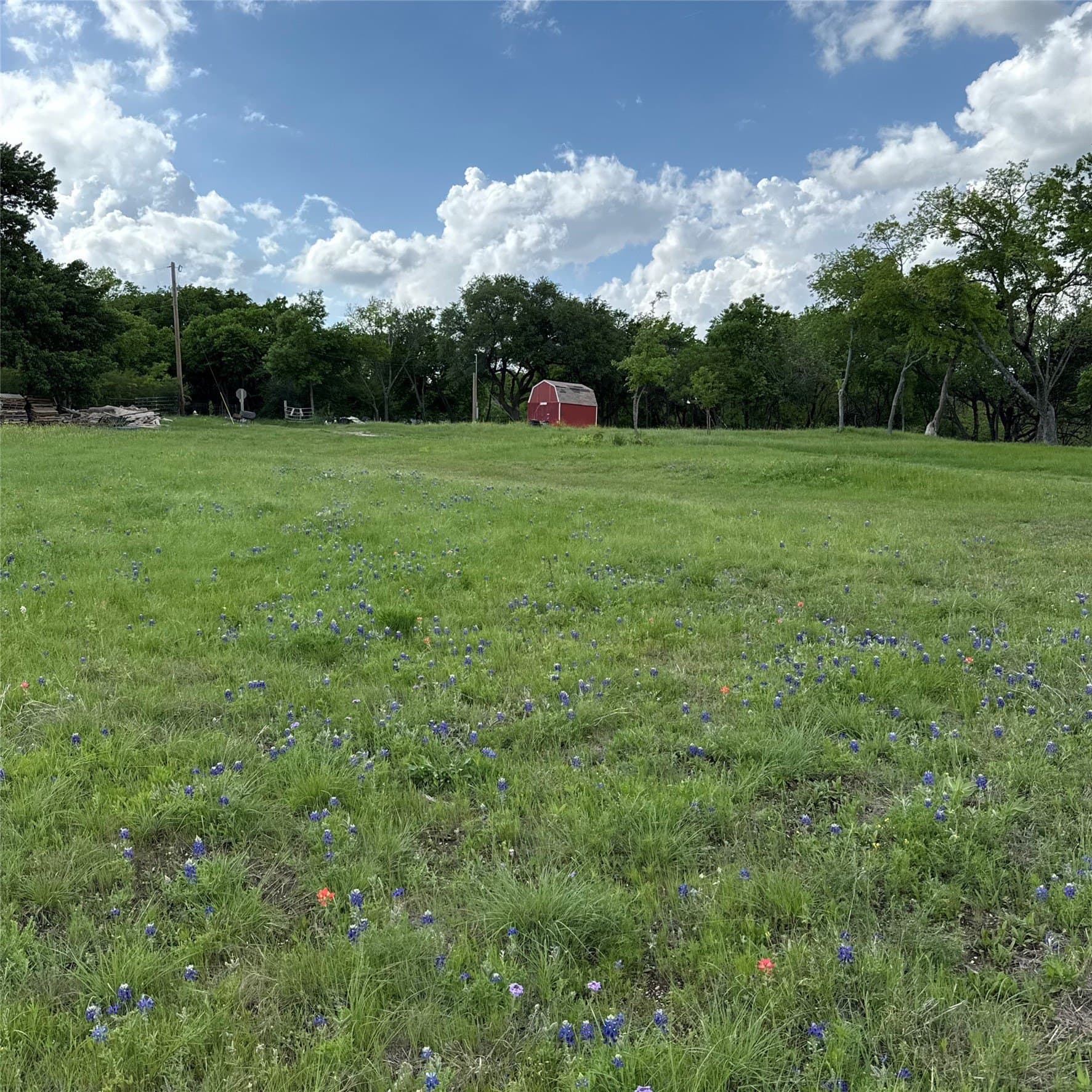23.24 acres in Dallas County - photo 14