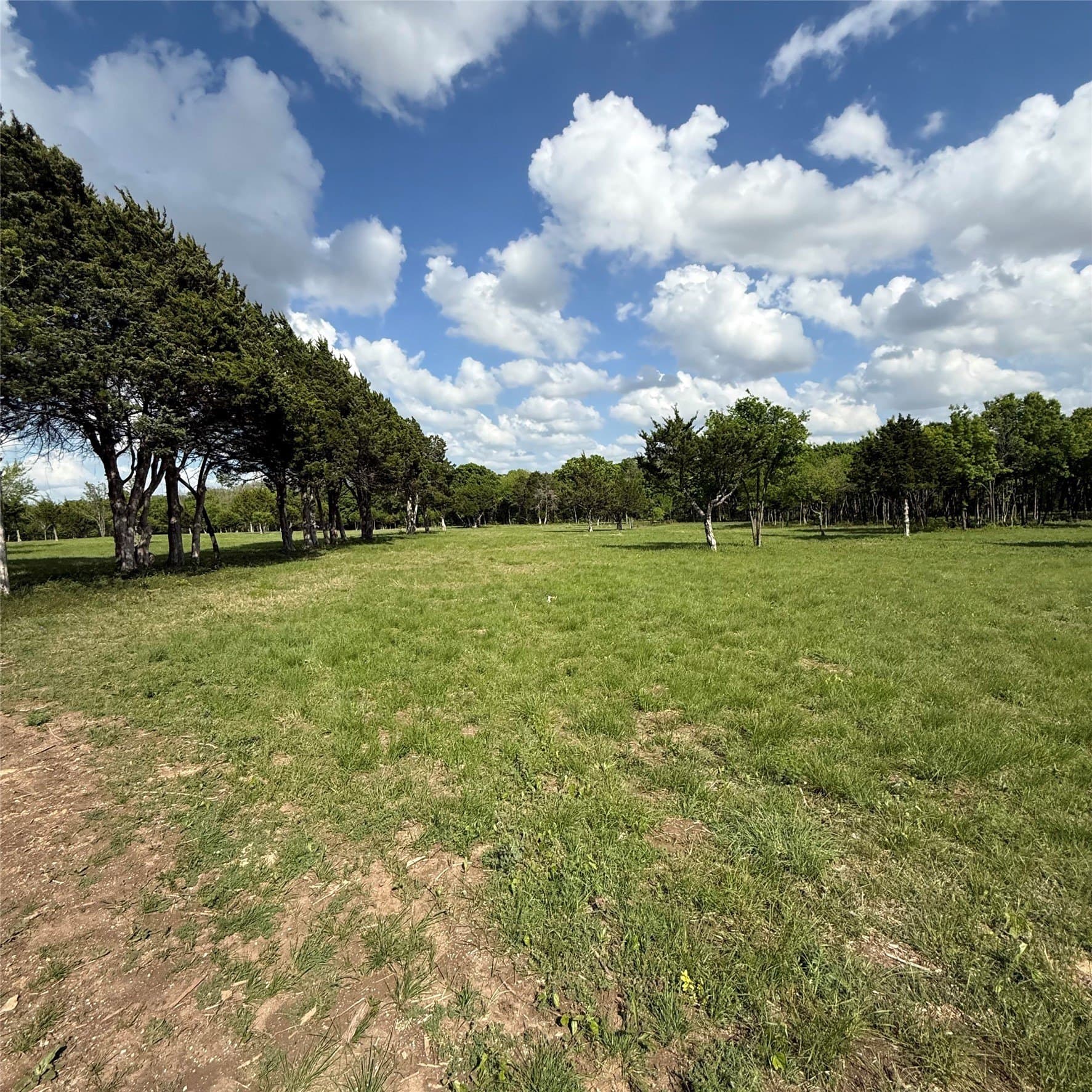 23.24 acres in Dallas County - photo 13