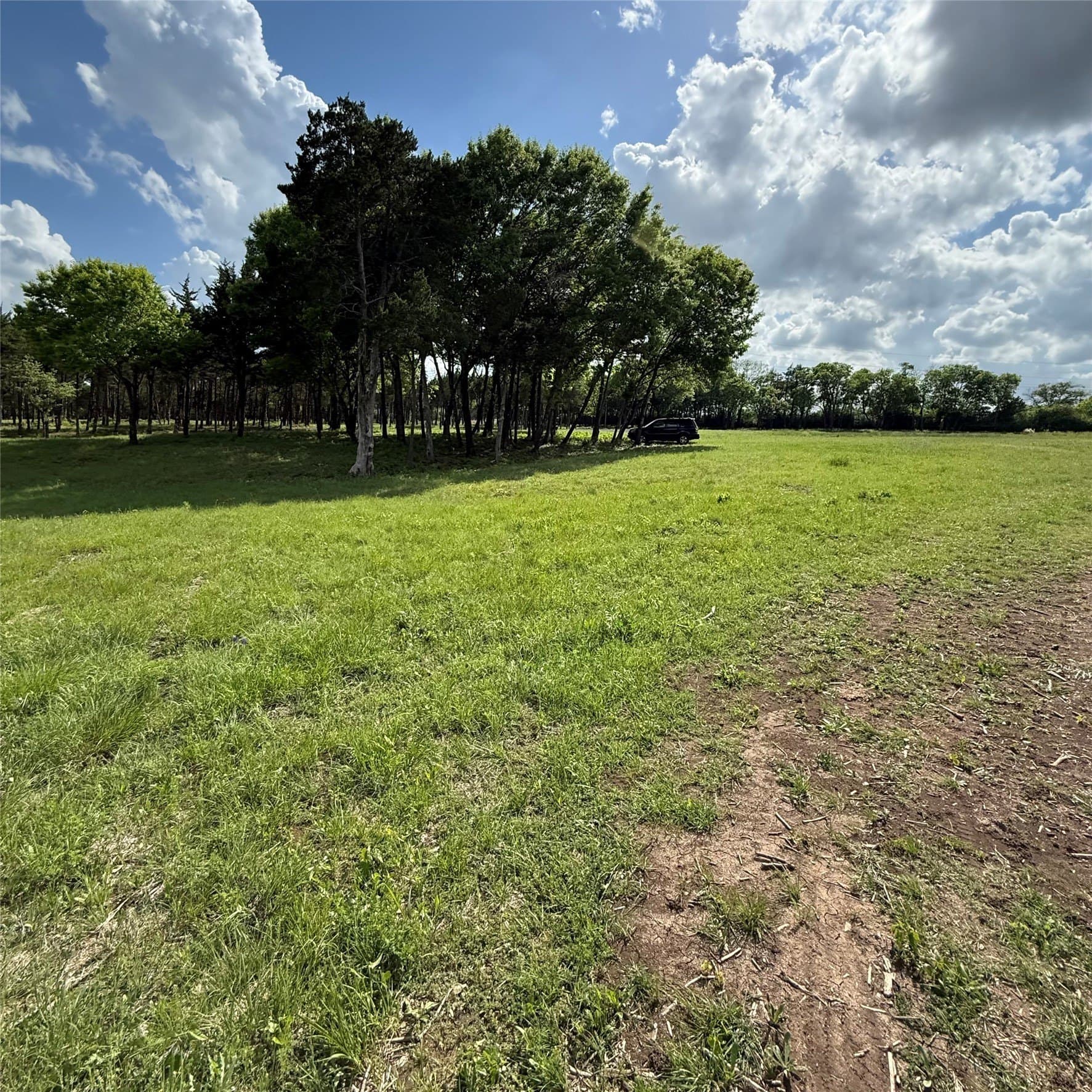 23.24 acres in Dallas County - photo 17