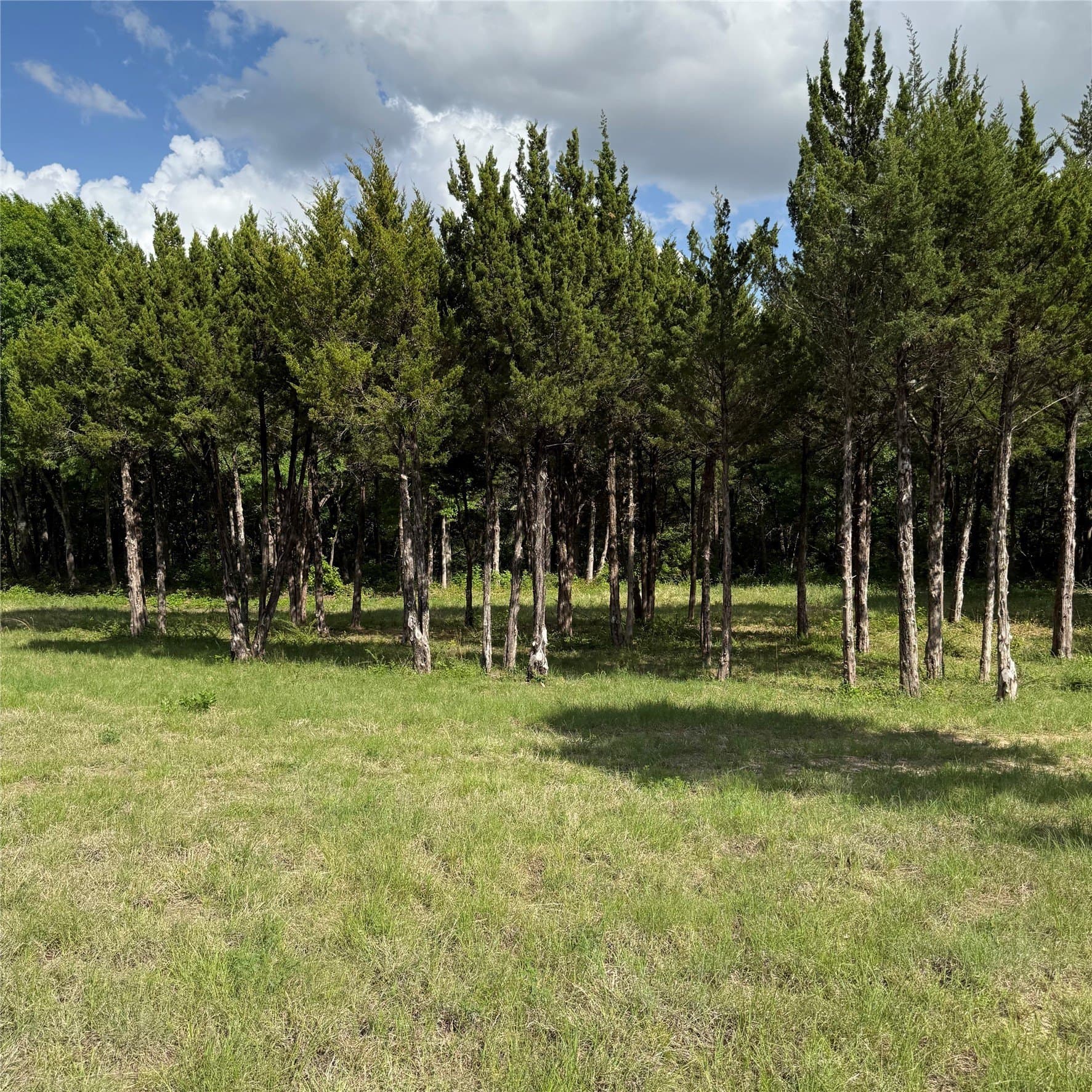 23.24 acres in Dallas County - photo 18