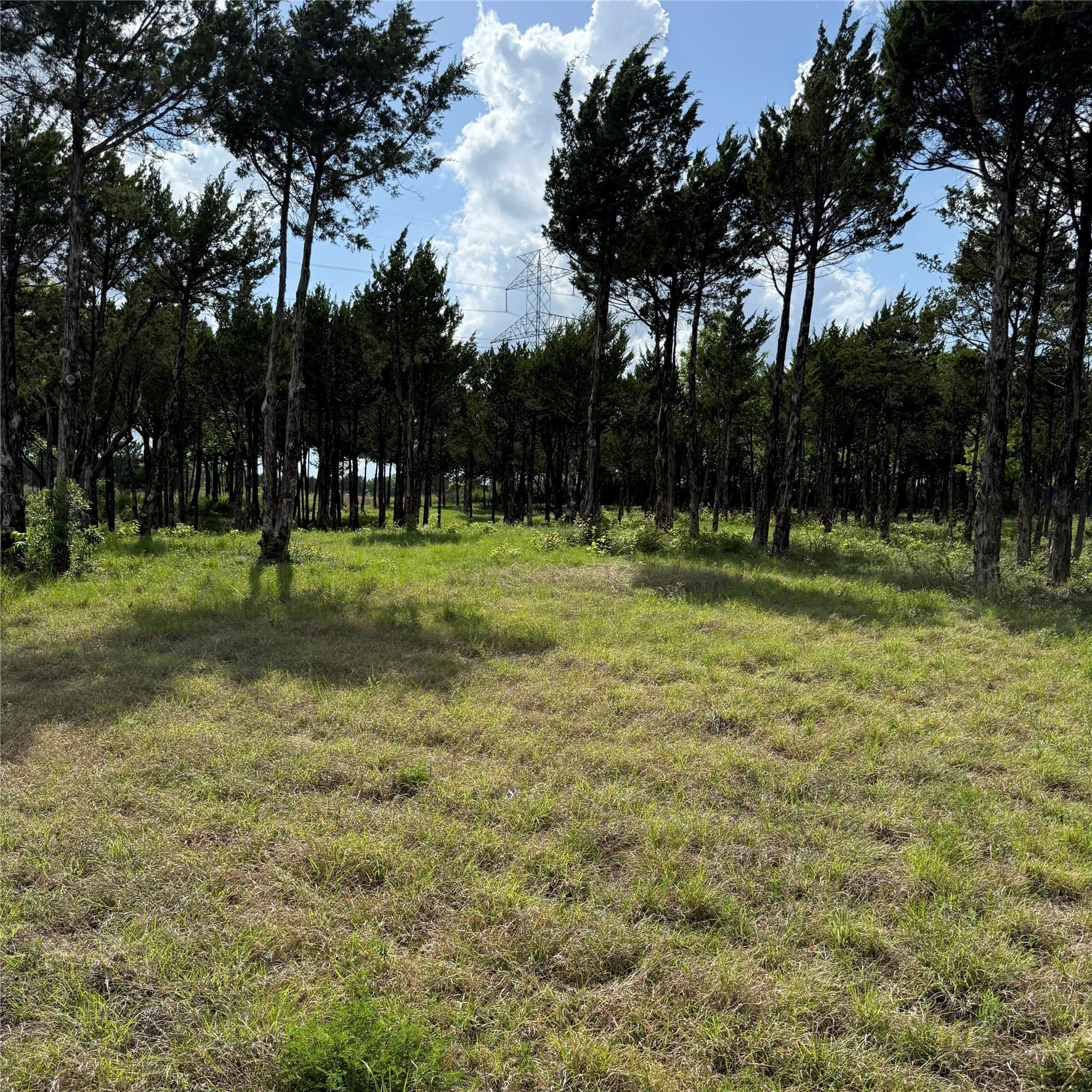 23.24 acres in Dallas County - photo 15
