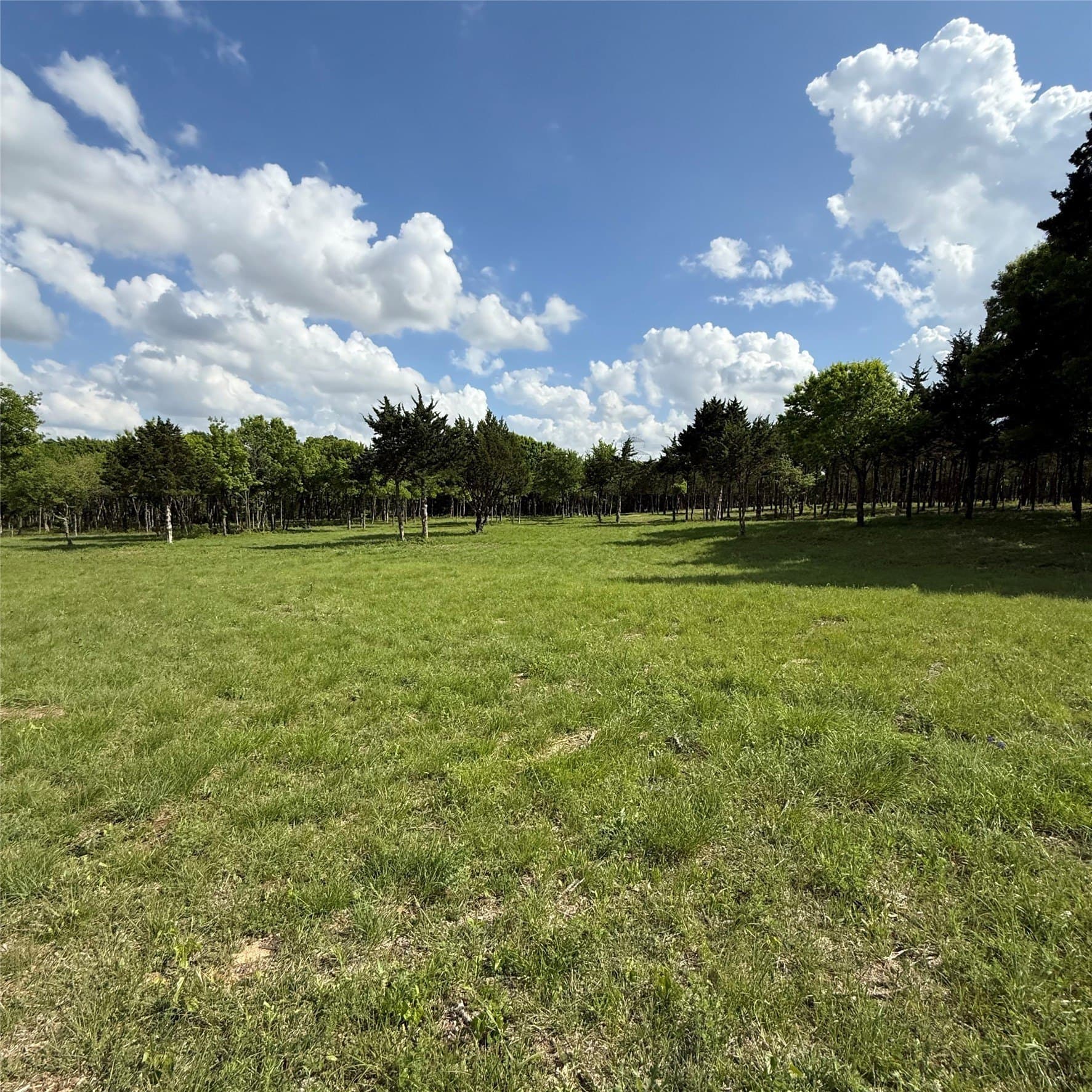 23.24 acres in Dallas County - photo 9