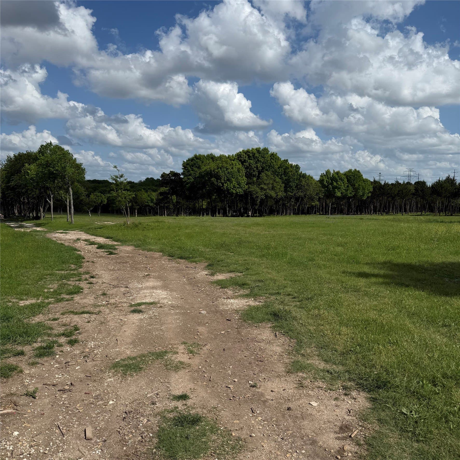 23.24 acres in Dallas County - photo 11