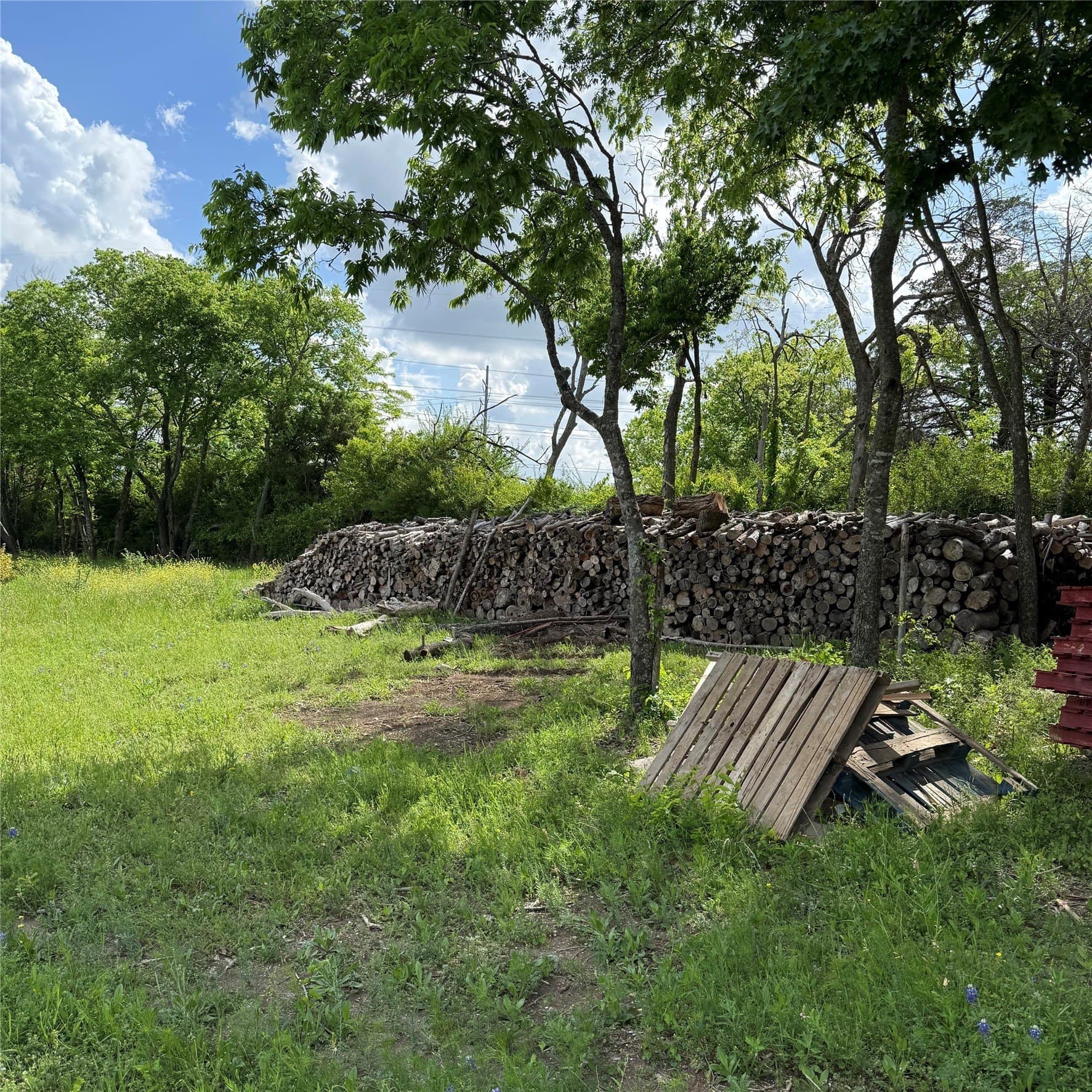 23.24 acres in Dallas County - photo 12