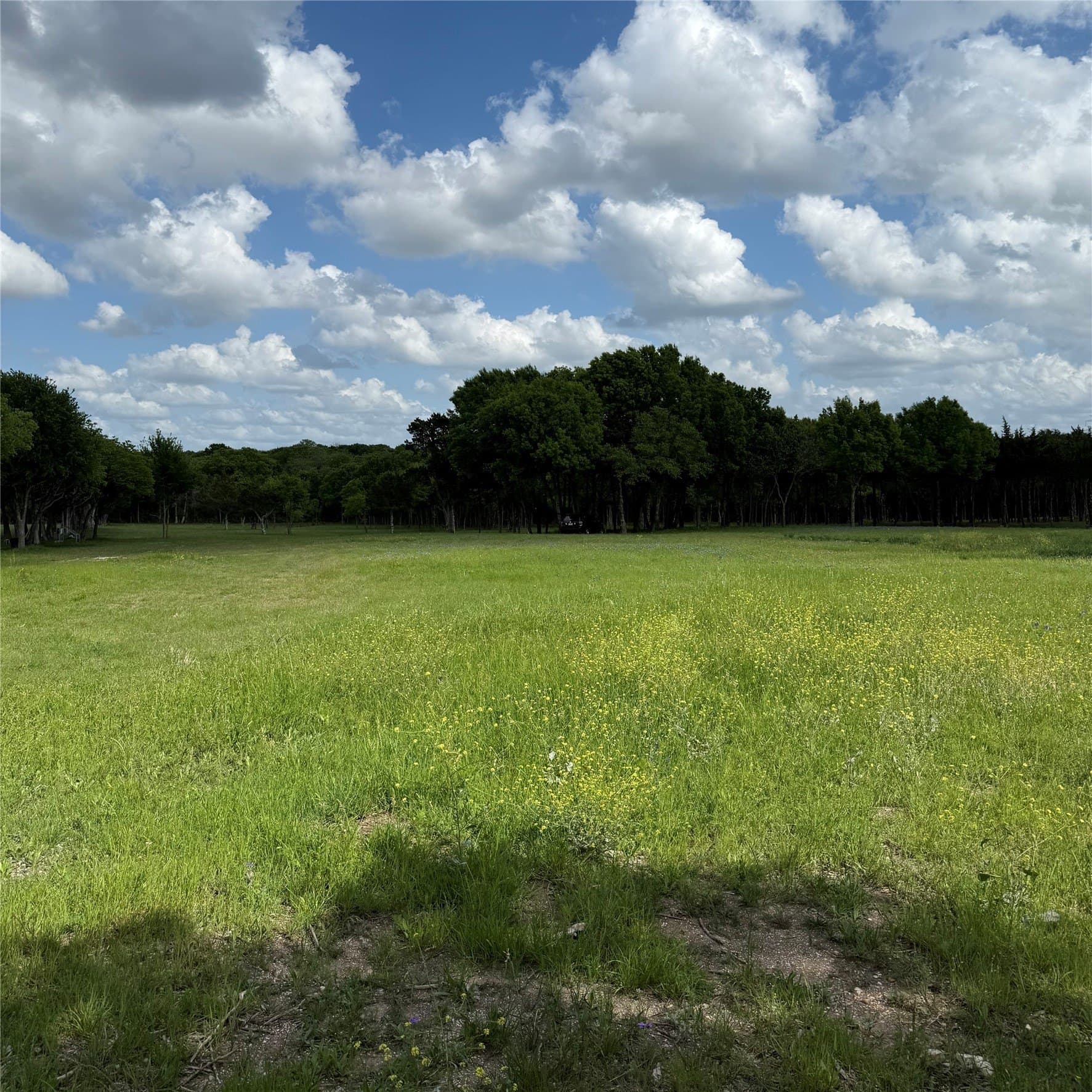 23.24 acres in Dallas County - photo 10