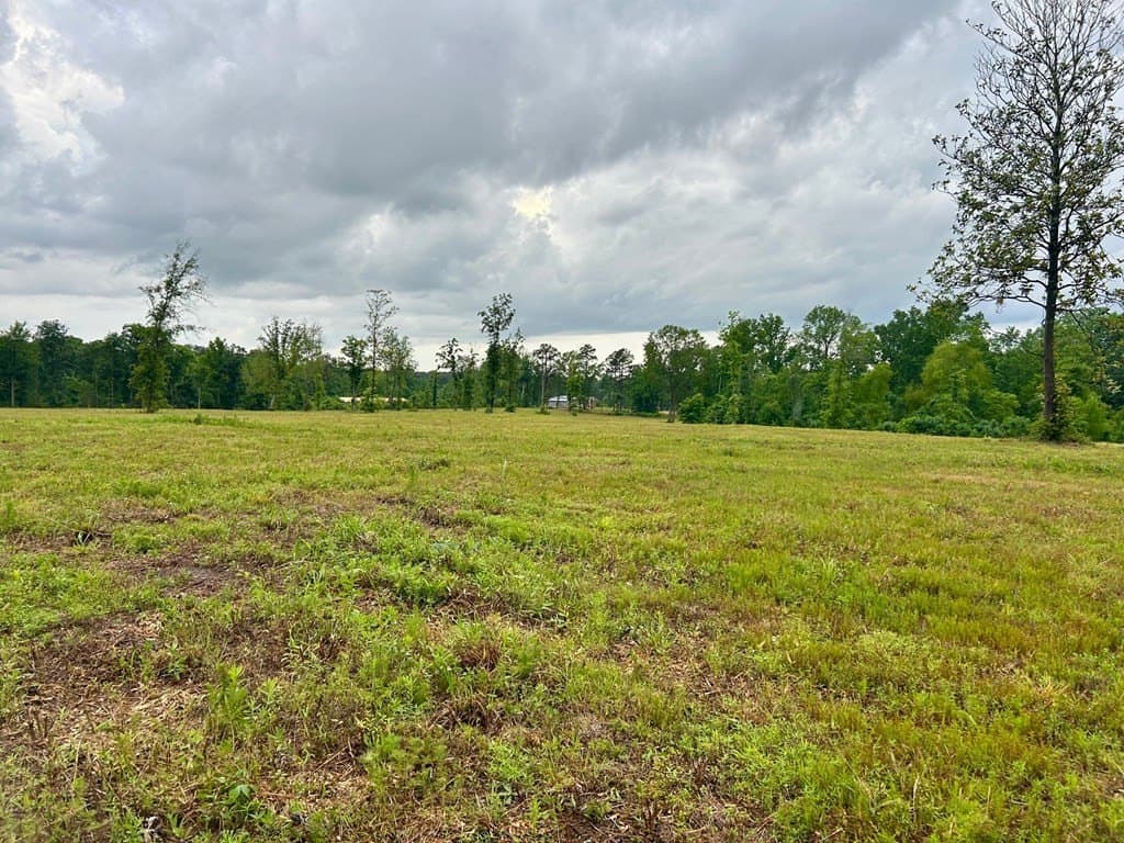 12.9 acres in Texas County gallery image 4
