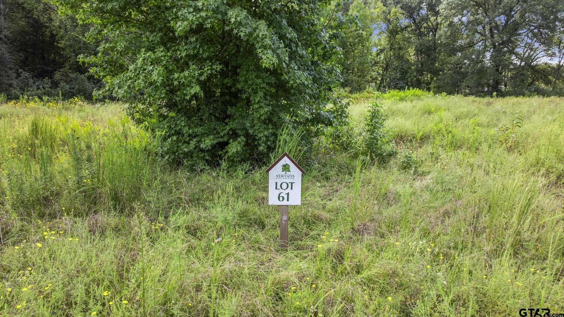 2.25 acres in Smith County gallery image 2