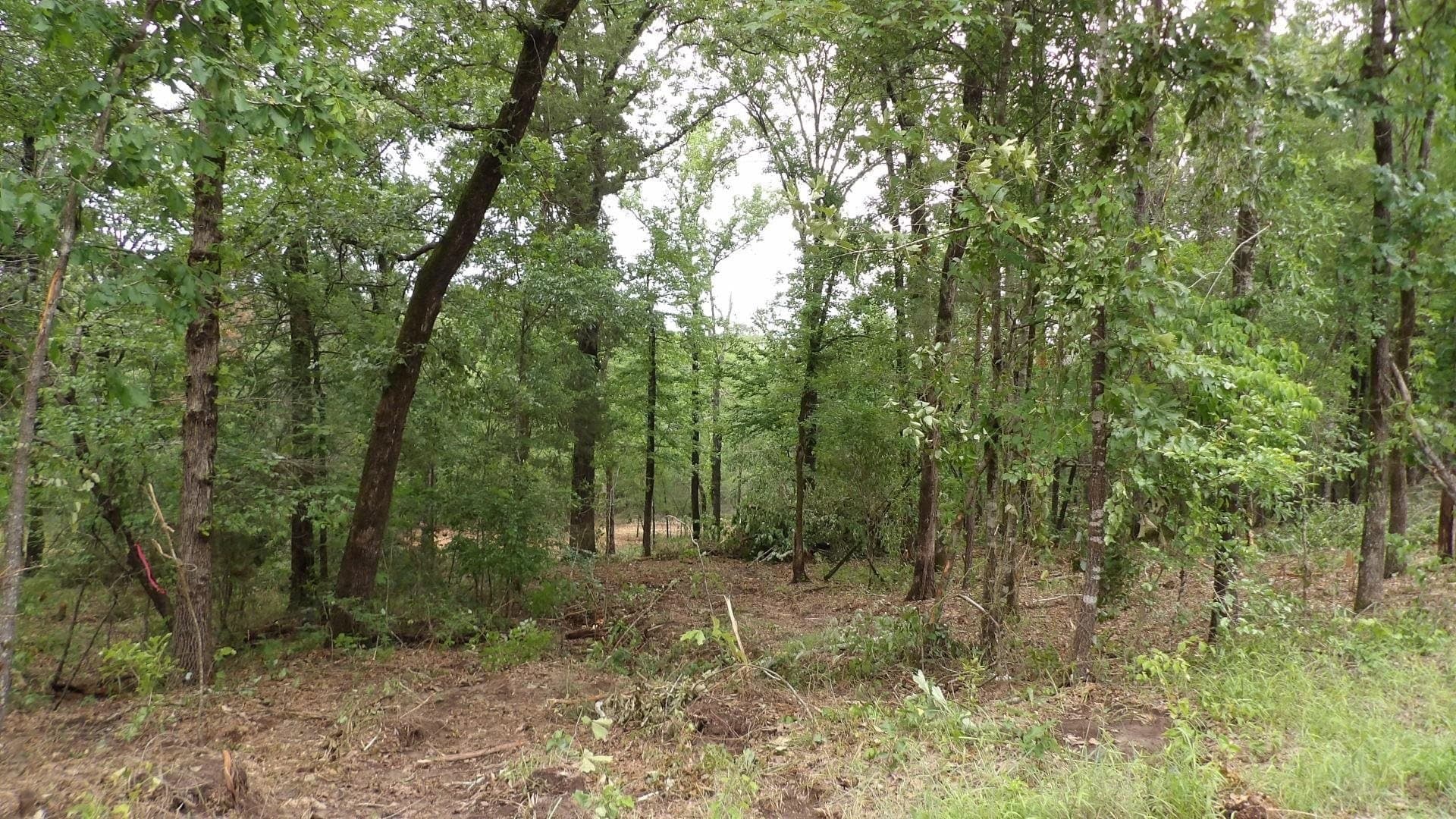 6 acres in Harrison County - photo 6