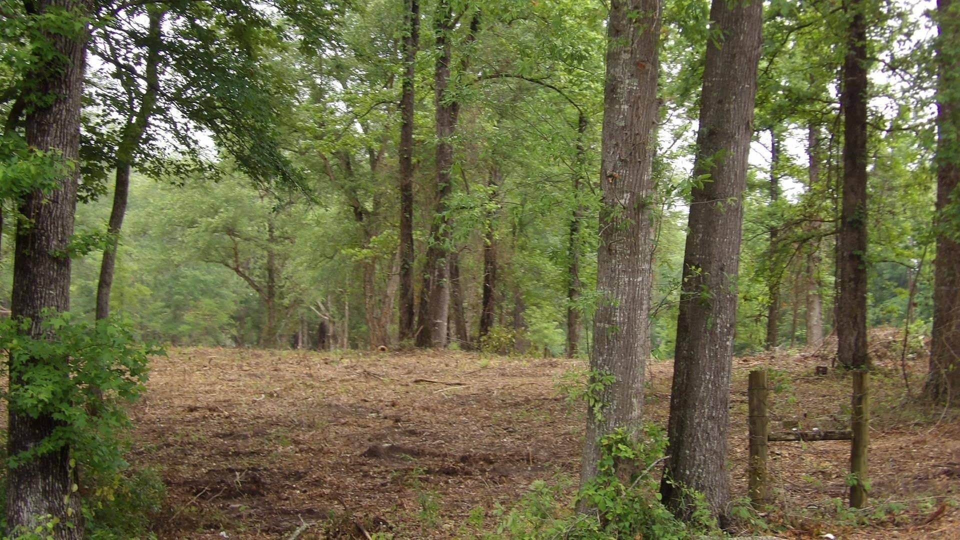 6 acres in Harrison County - photo 12