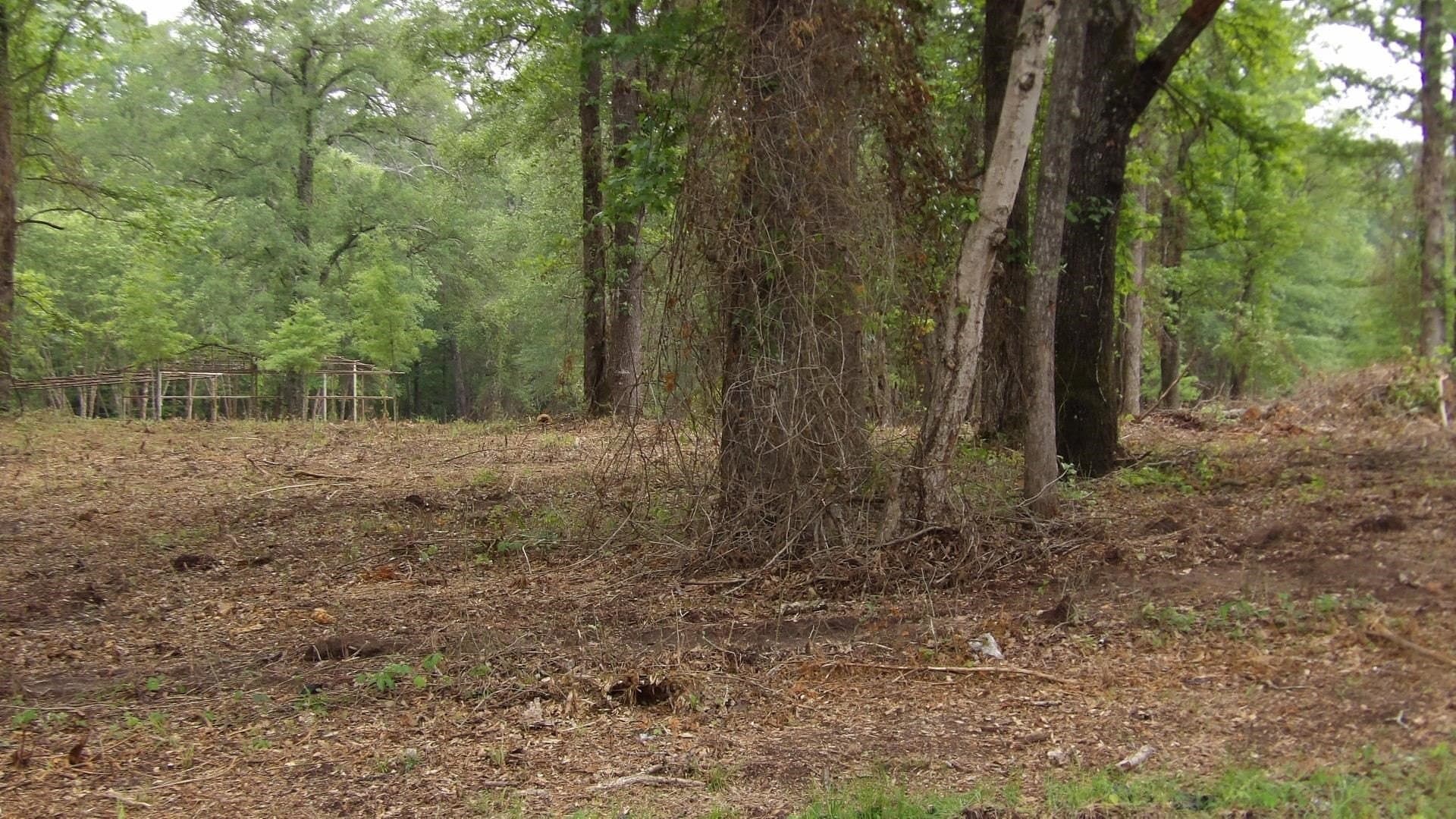 6 acres in Harrison County