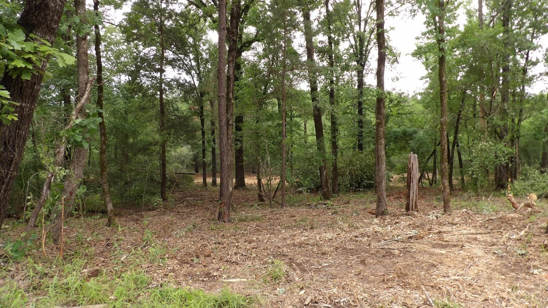 6 acres in Harrison County - photo 7