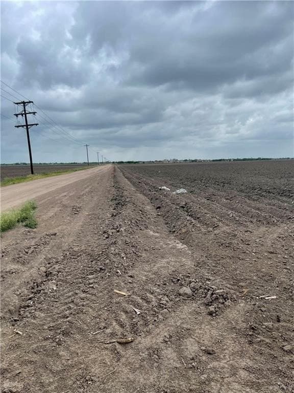 55 acres in Hidalgo County gallery image 3
