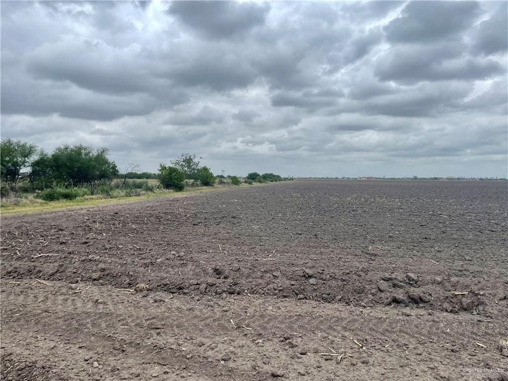 55 acres in Hidalgo County