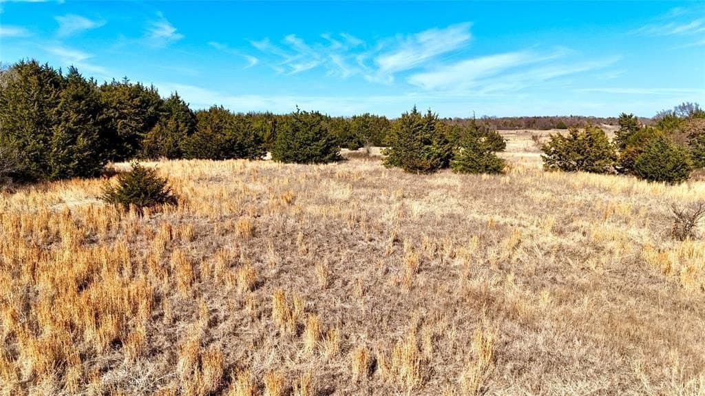 88 acres in Cooke County gallery image 2