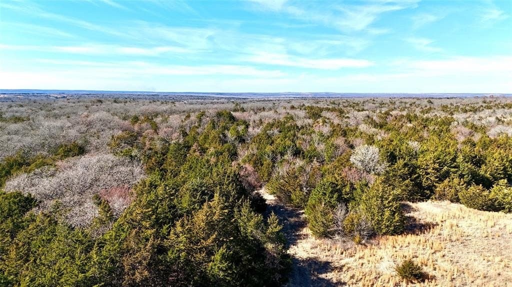 88 acres in Cooke County gallery image 3