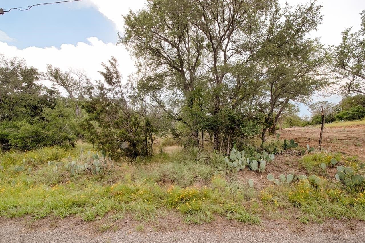 0.11 acres in Burnet County gallery image 2