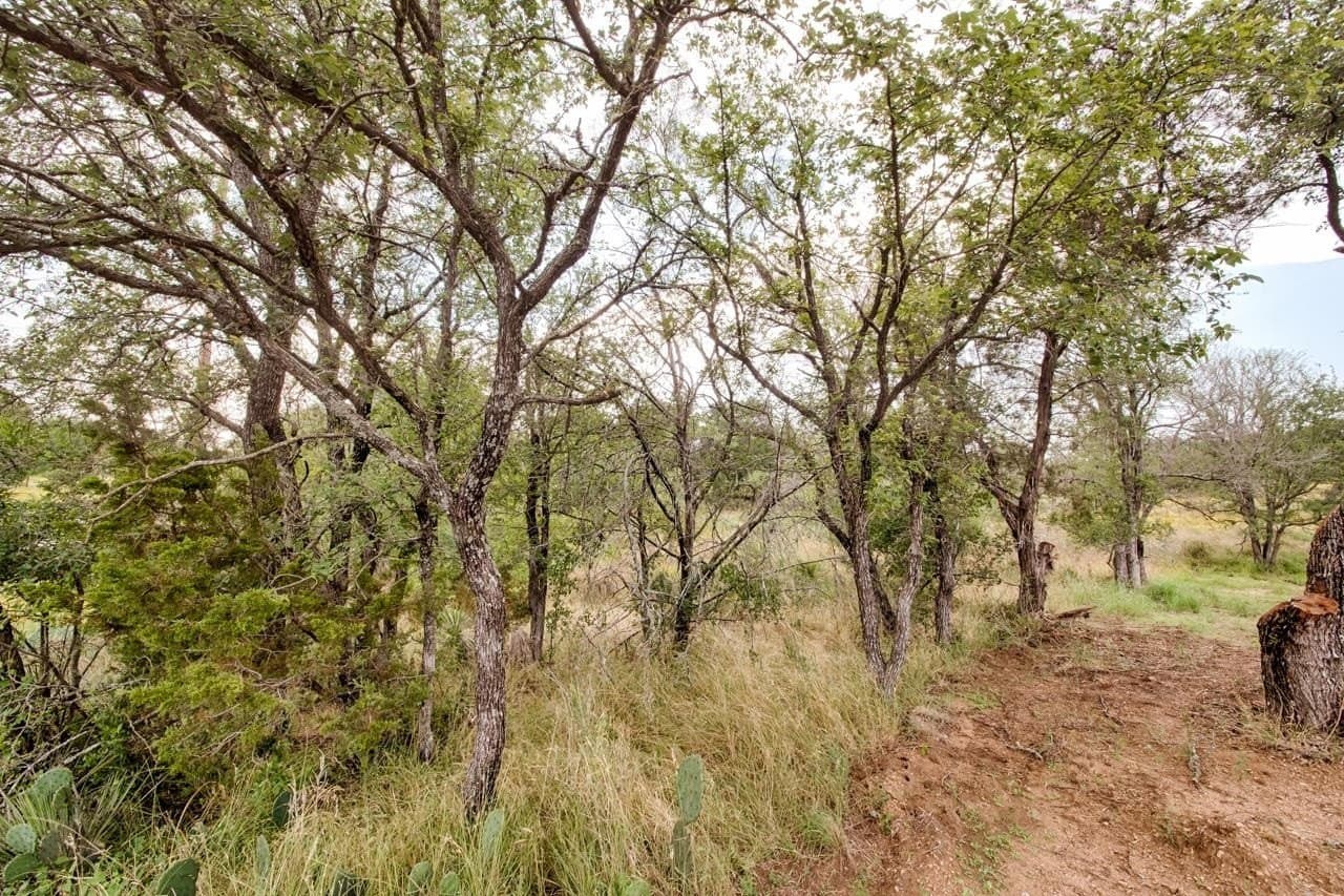 0.11 acres in Burnet County gallery image 3