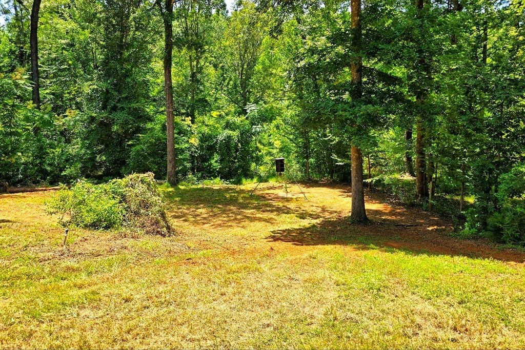 1.03 acres in Texas County - photo 14