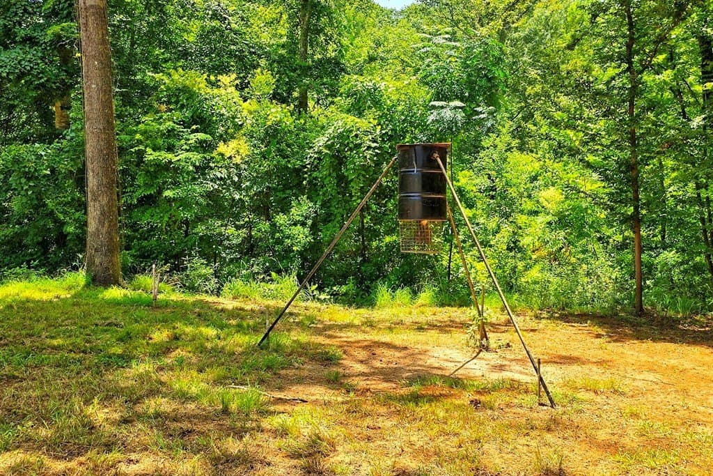 1.03 acres in Texas County - photo 15