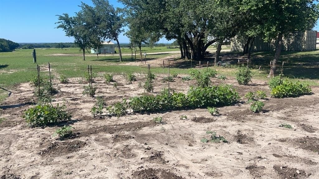 51.82 acres in Erath County featured view