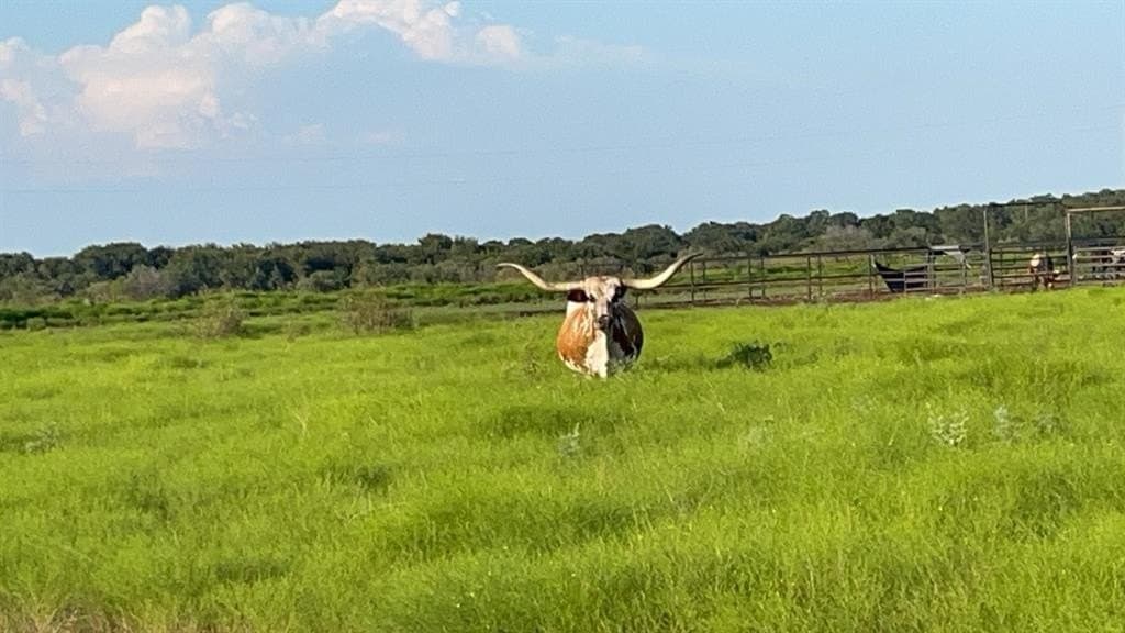 51.82 acres in Erath County