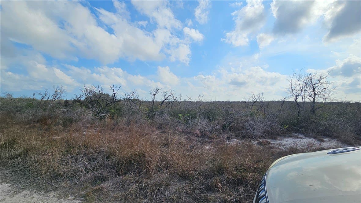 0.16 acres in San Patricio County gallery image 2