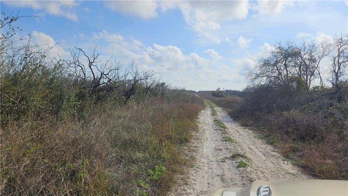 0.16 acres in San Patricio County gallery image 3