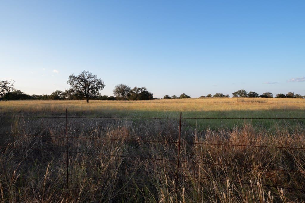 120 acres in Mason County gallery image 4