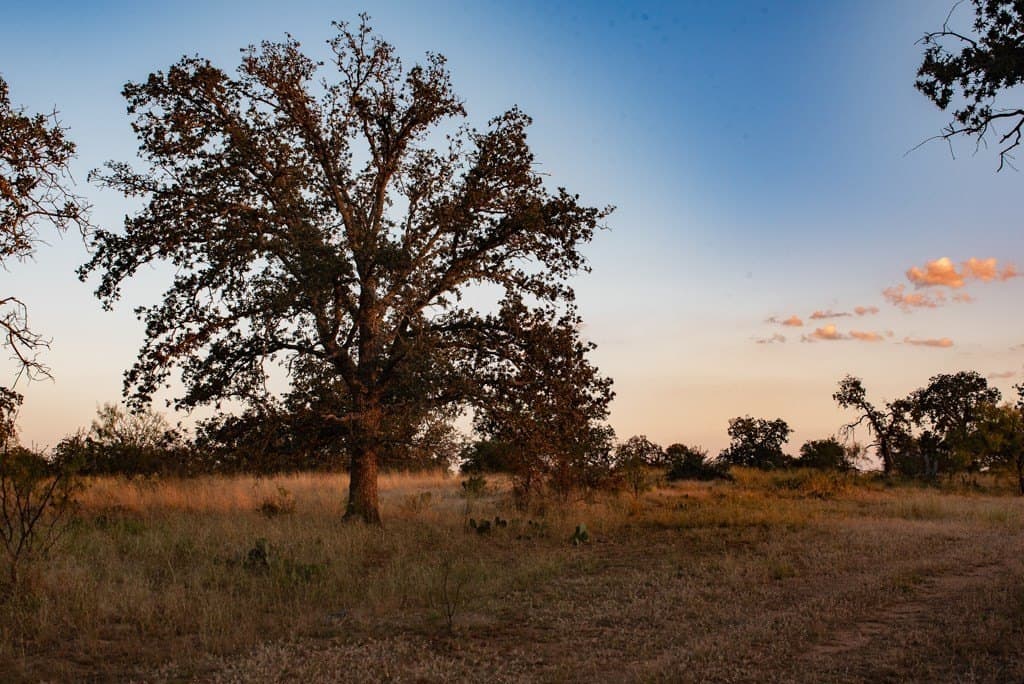 120 acres in Mason County - photo 12