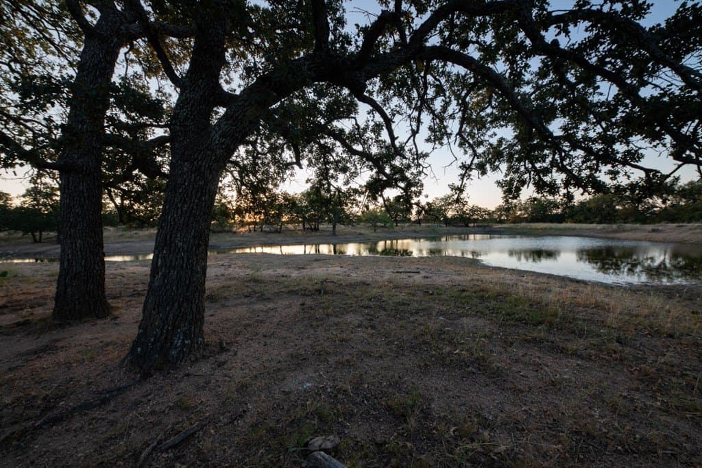 120 acres in Mason County - photo 9