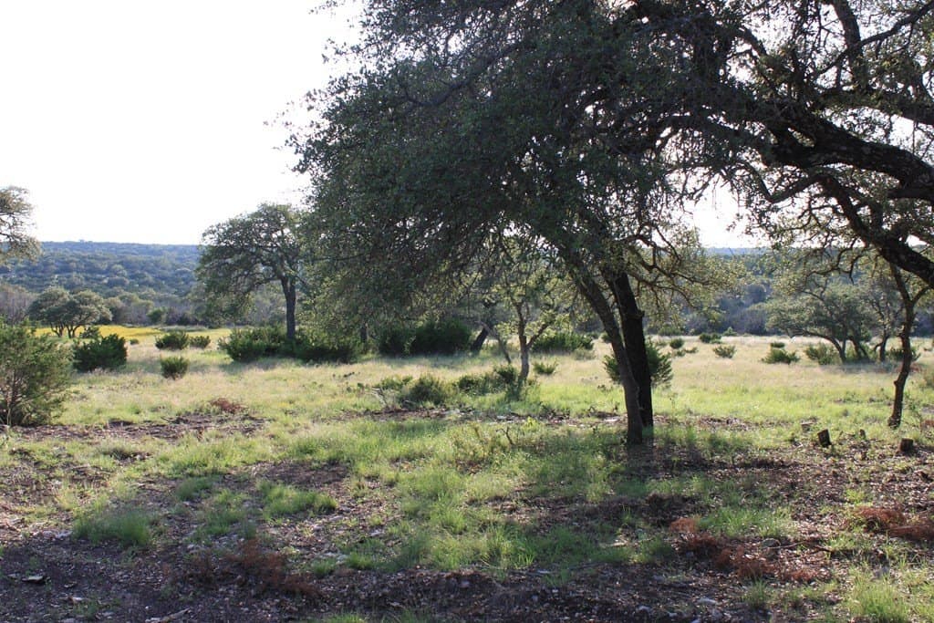 100 acres in Edwards County featured view