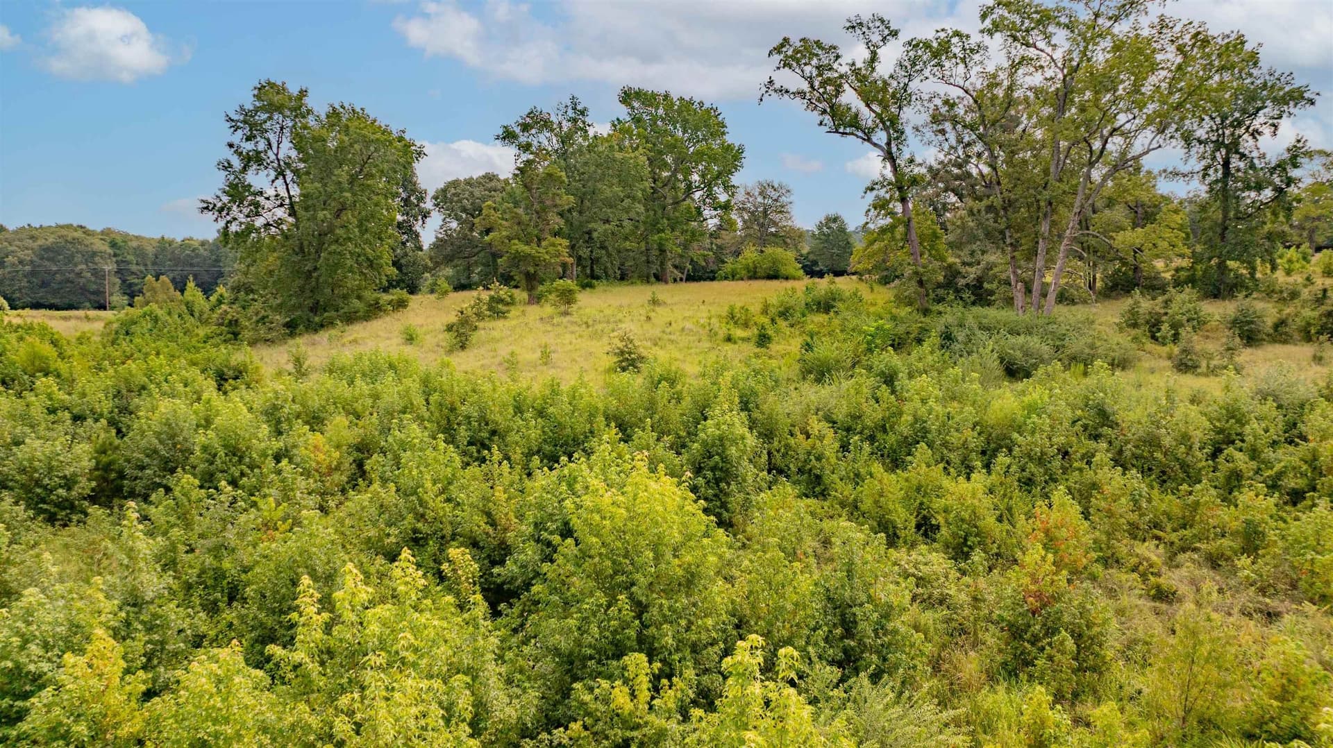 3.55 acres in Texas County - photo 7