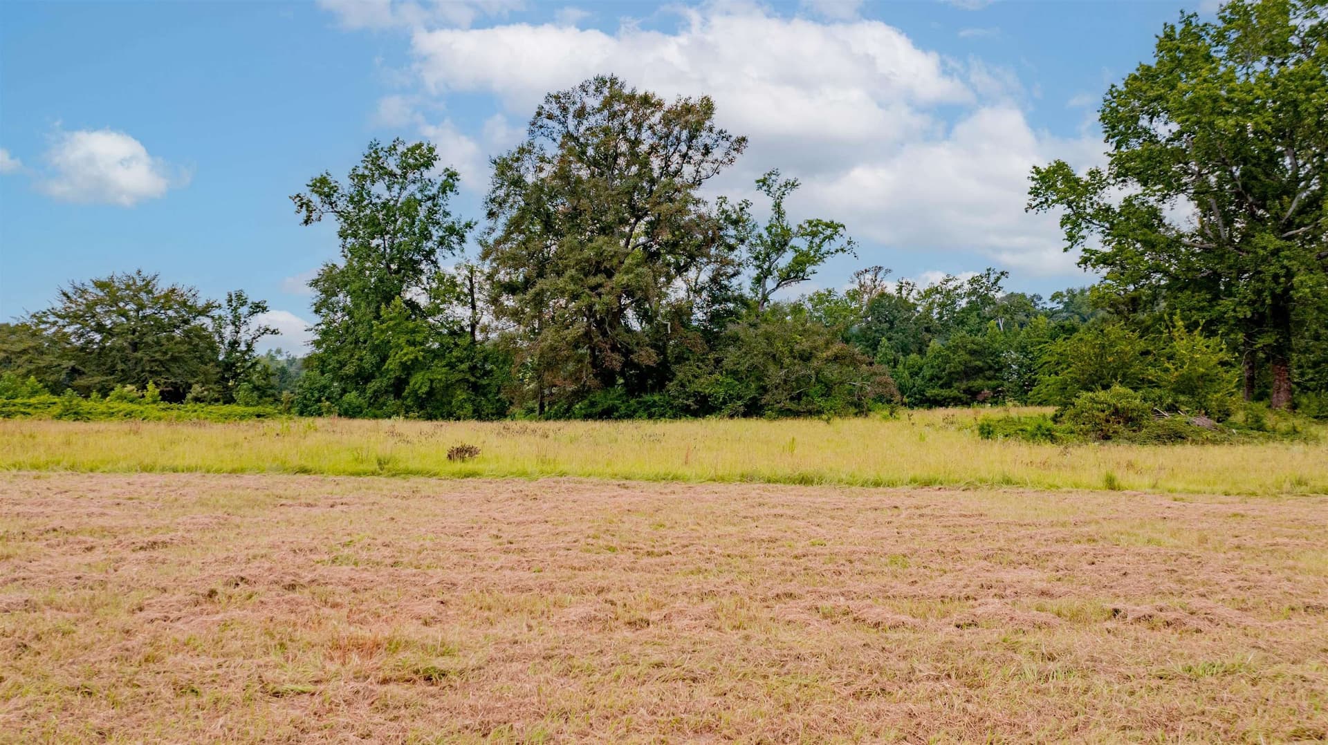 3.55 acres in Texas County - photo 12
