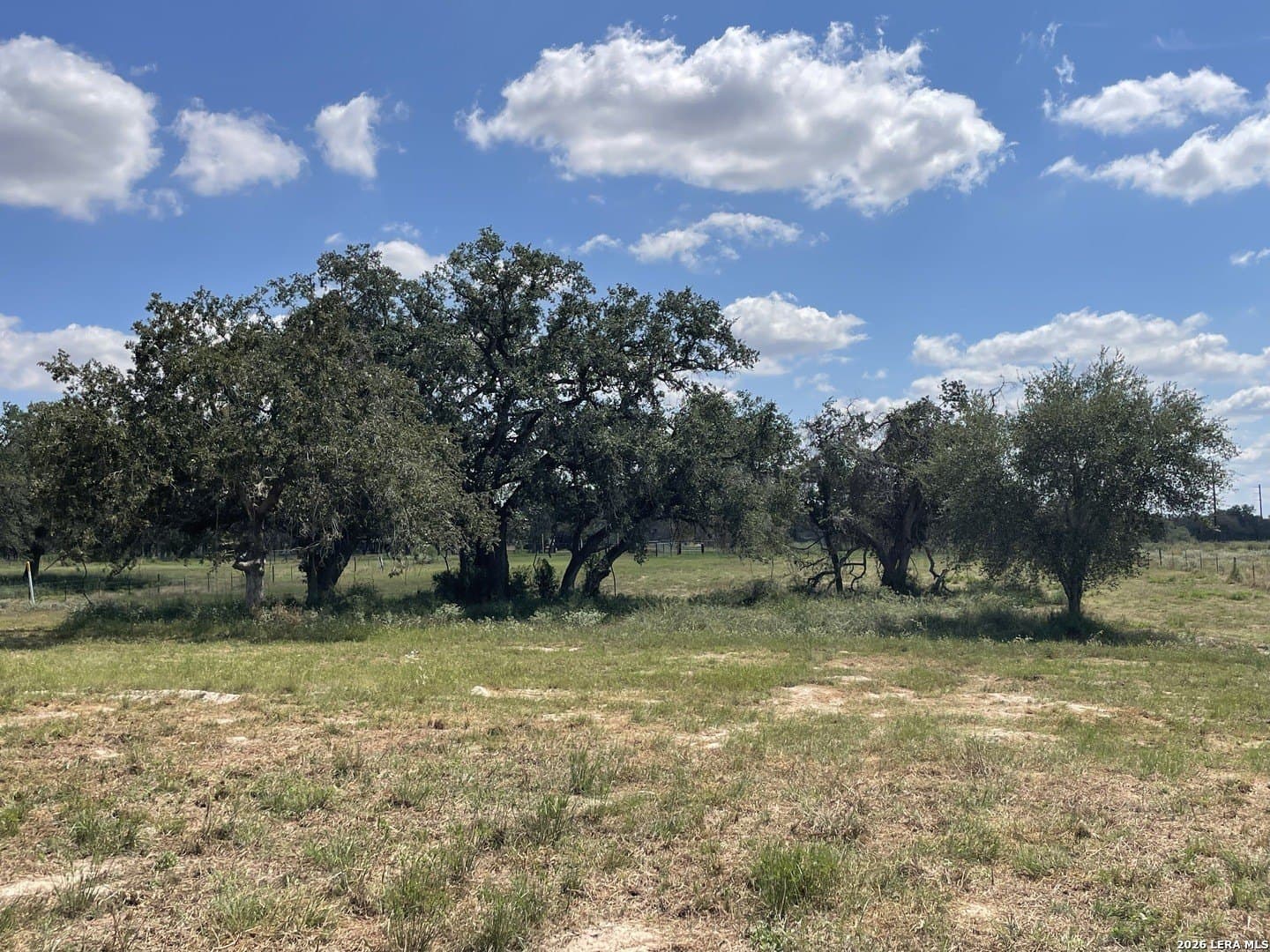 2.5 acres in Wilson County - photo 4