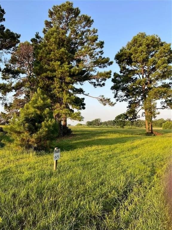 2.58 acres in Camp County featured view