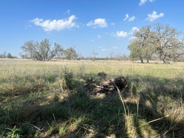 5.44 acres in Gillespie County - photo 30