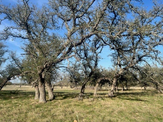 5.44 acres in Gillespie County - photo 6