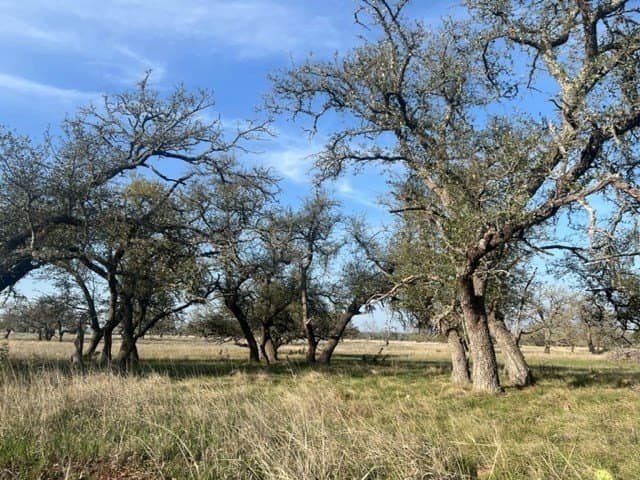 5.44 acres in Gillespie County - photo 28