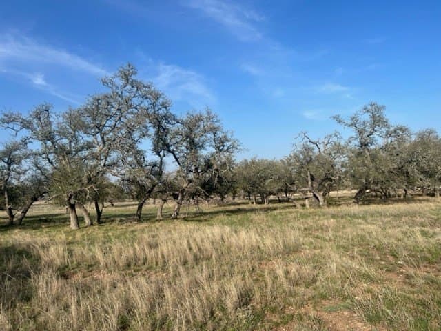 5.44 acres in Gillespie County - photo 7