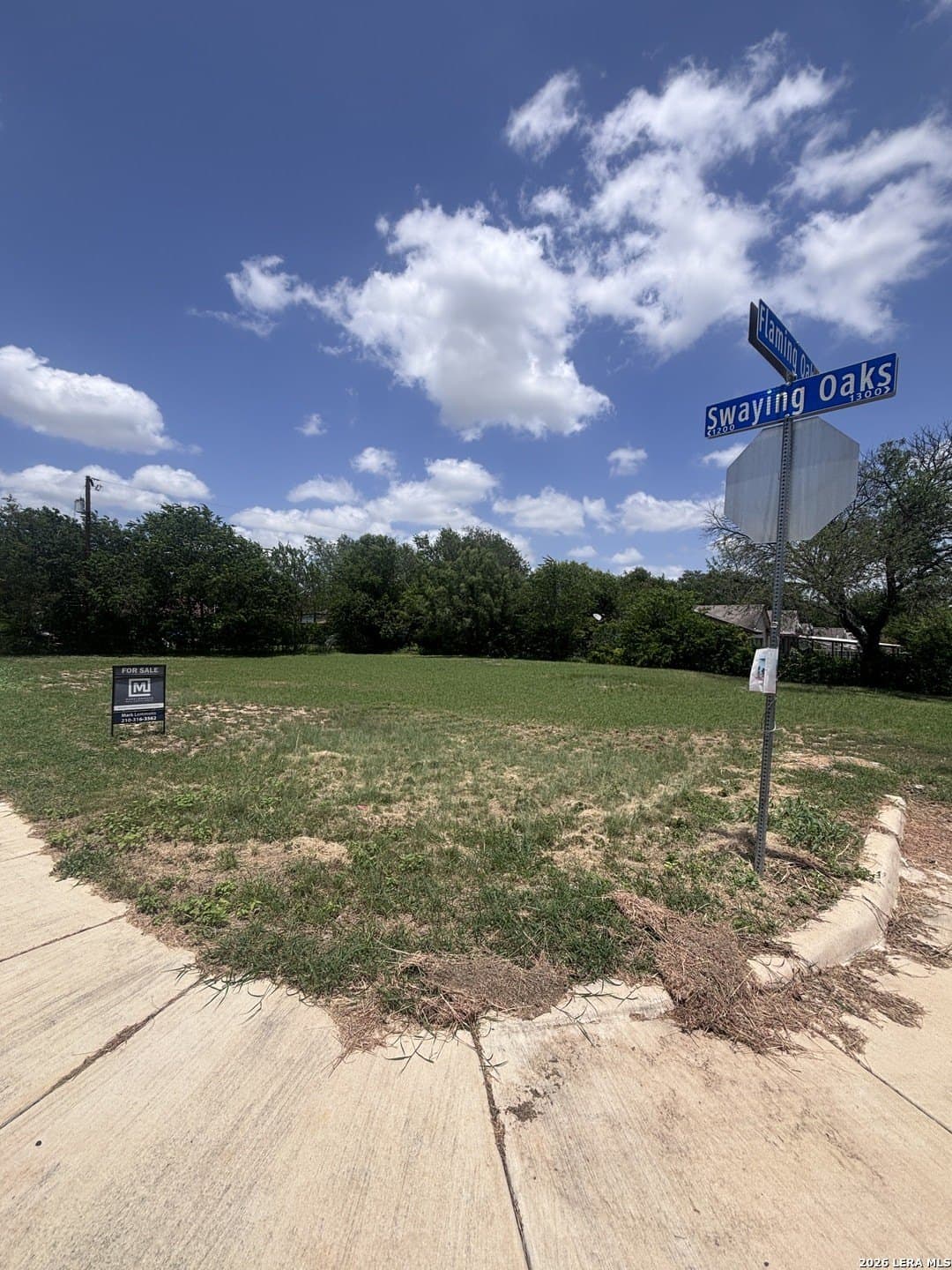 0.19 acres in Bexar County gallery image 4