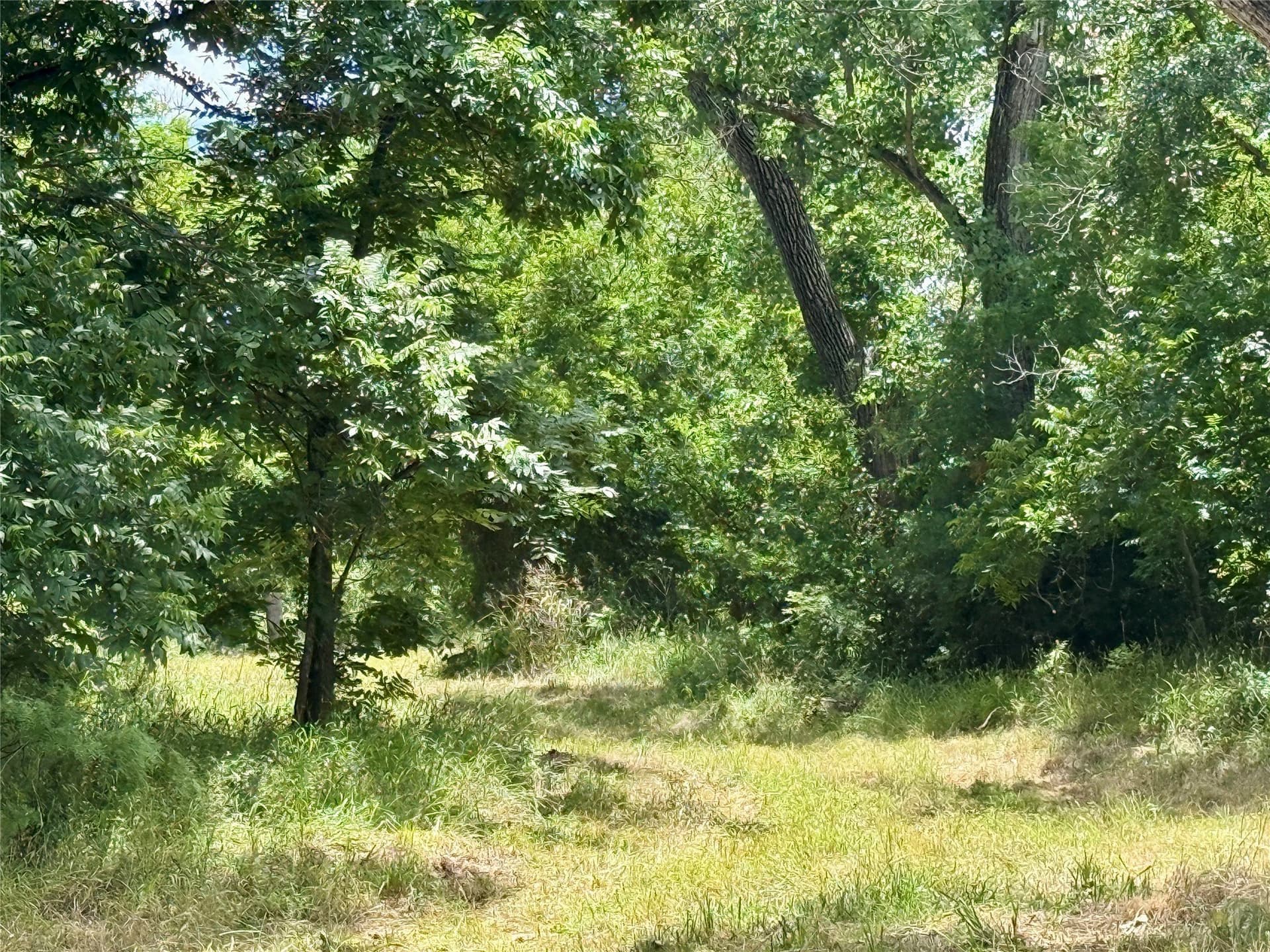 14.08 acres in Mills County - photo 35