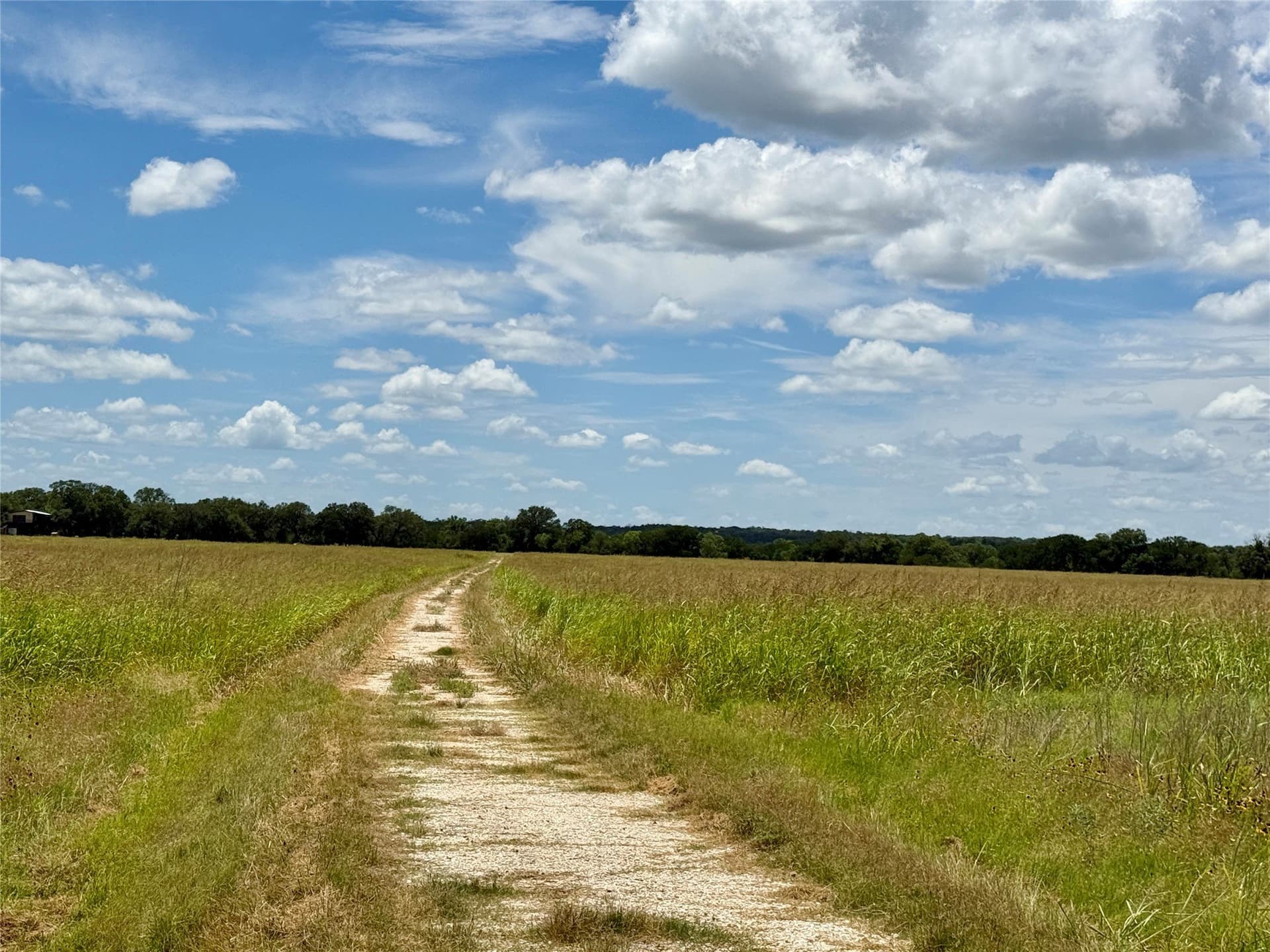 14.08 acres in Mills County - photo 28