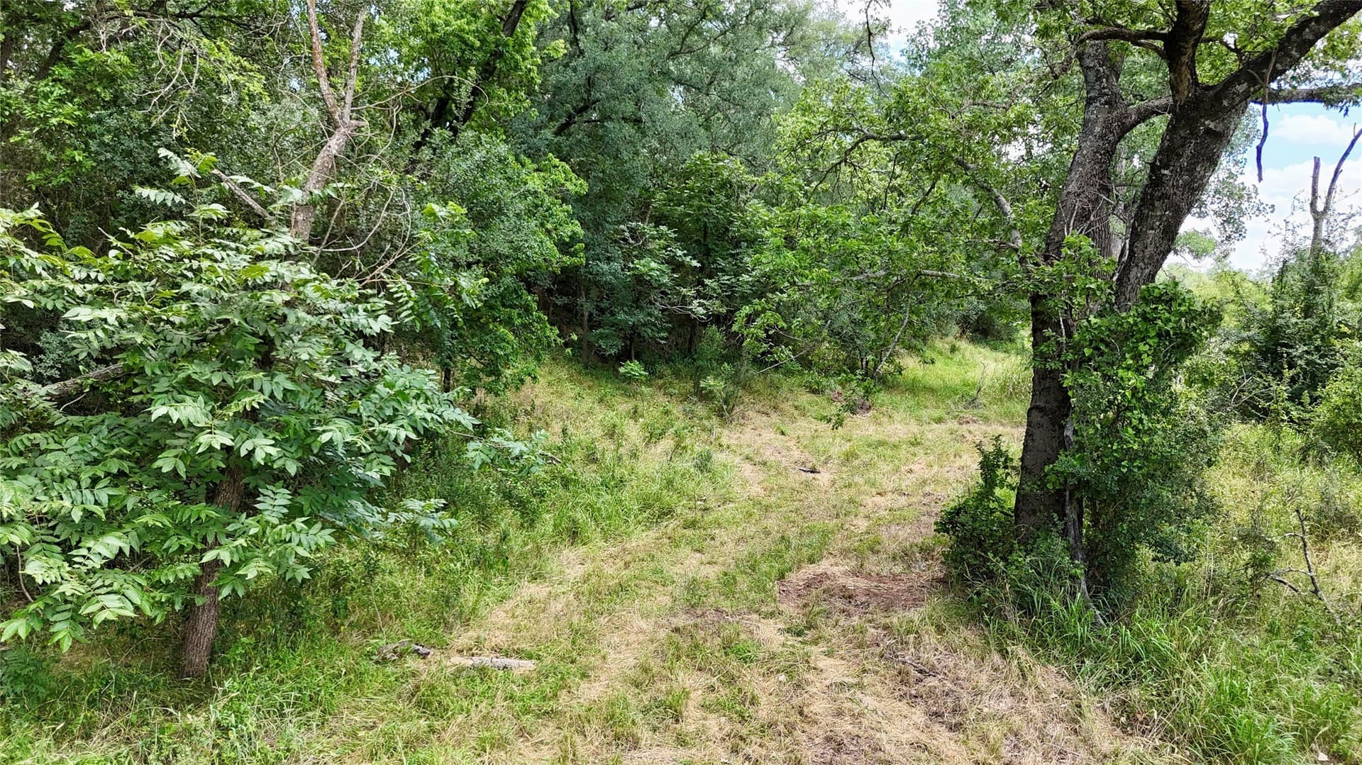 14.08 acres in Mills County - photo 22