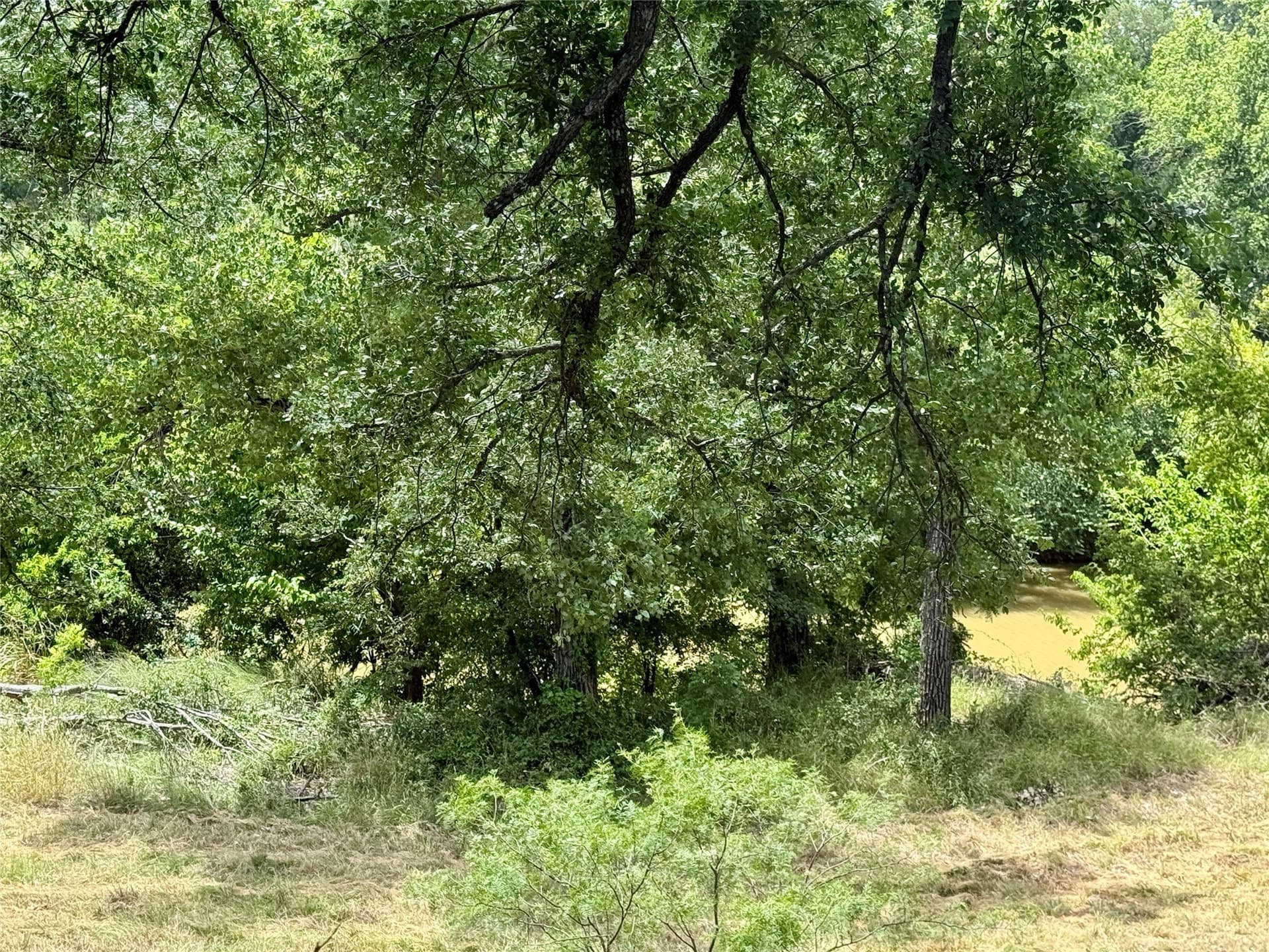 14.08 acres in Mills County - photo 32